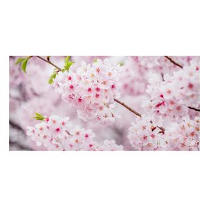 Leinwandbild - Japanische Kirschblüten - Querformat 1:2, Größe HxB:60cm x 120cm - Canvas