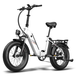 Fafrees FF20 Polar, E-Bike Elektrický bicykel 20 palcov x 4,0 Fat Tyre Elektrický bicykel skladací Fat Bike Dvojitá batéria 10,4 Ah x 2, Max. Dojazd až 95-160 km, Shimano 7S Mountain Ebike