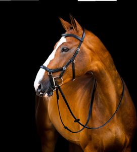 Horseware Ireland Trense Micklem 2 Deluxe Competition Bridle Micklemtrense Black Large Cob