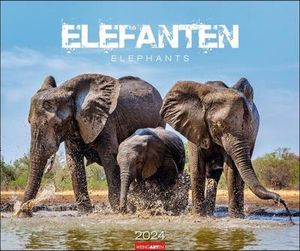 Elefanten Kalender 2024. Die sanften Riesen Afrikas, porträtiert in einem großen Wand-Kalender. Hochwertiger Fotokalender voll beeindruckender Aufnahmen. 55x46 cm Querformat