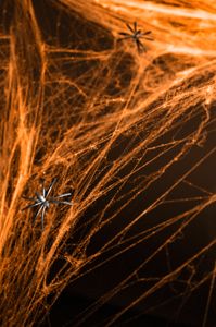Halloween Spinnennetz mit 2 Spinnen, 60g PartyDeco Farbe: Orange