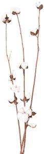 Clayre & Eef 5DF0030 Suszone kwiaty 80 cm (3) biały-brązowy