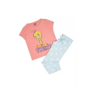 Looney Tunes - Schlafanzug mit langer Hose für Damen TV1421 (XL) (Pink/Blau)