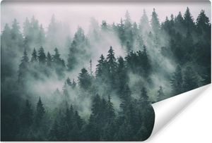 Mist Forest tapety pro obývací pokoj ložnice 368x254cm