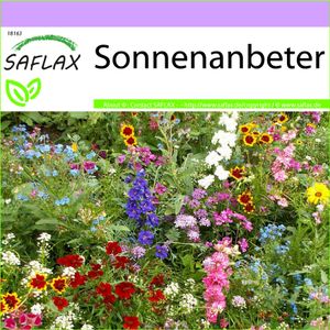 SAFLAX - Wildblumen: Sonnenanbeter - 1000 Samen - 17 Wildflower Mix