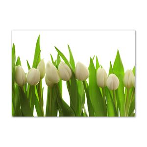 Tulup® Acrylglas - Wandkunst - 100 x 70 cm - Bild auf Plexiglas® Deko Wandbild hinter Kunststoff / Acrylglas Bild - Dekorative Wand für Küche & Wohnzimmer - Blumen & Pflanzen - Weiße Tulpen - Grün