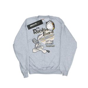 Looney Tunes - Mikina pro muže "Wile E Coyote Rocket Board" BI49079 (3XL) (šedá)