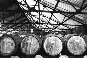 Auchentoshan American Oak Triple Distilled Single Malt Scotch Whisky in Geschenkpackung | 40 % vol | 0,7 l