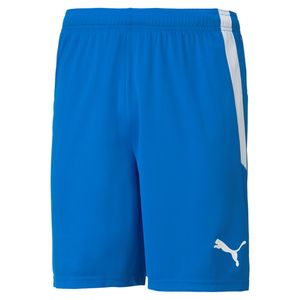 Puma Spodnie Spodenki Męskie Teamliga Niebieskie, 70492402, Größe: 176