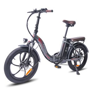 Fafrees F20 Pro 20 palcový elektrický bicykel muži / ženy 250W