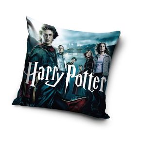 Kissen 40x40cm Harry Potter