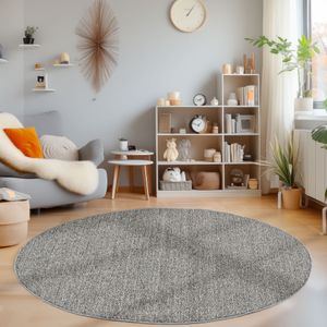 Runder Schlingenteppich Wohnzimmer Einfarbig Meliert Design, Farbe: Grau, Grösse: 200 cm Rund