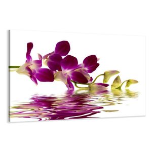 80 x 60 cm Bild auf Leinwand Blume Orchidee 4132-SCT deutsche Marke und Lager  -  Die Bilder / das Wandbild / der Kunstdruck ist fertig gerahmt