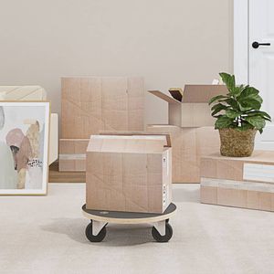 vidaXL Transportné valčeky 2 ks okrúhle Ø38x11,5 cm 250 kg