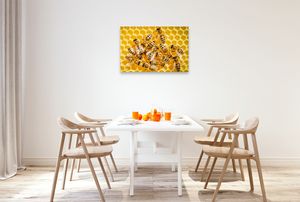 Premium Textil-Leinwand 90 cm x 60 cm quer Honigbienen auf einer frisch aufgebauten Wabe.