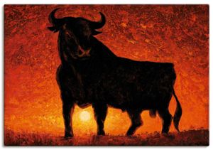 ARTland Leinwandbilder Andalusischer Stier Größe: 70x50 cm