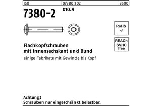 Flachkopfschraube ISO 7380-2 m.Bund/Innensechskant M 6 x 6 010.9