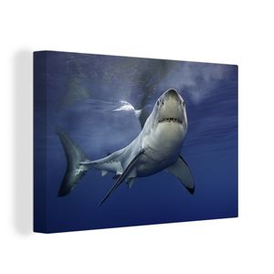 OneMillionCanvasses® - Leinwandbilder - Bild auf Leinwand Wandbild Leinwandbild Weißer Hai, 90x60 cm, Kunstdruck Wandkunst Gemälde auf Holzrahmen  - Leinwänden - Fotoleinwand