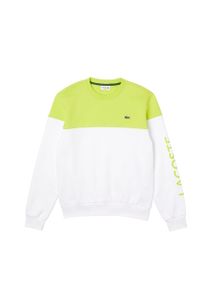 Lacoste Pullover Sweatshirt mit Colorblock und Logo