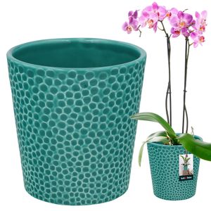 KOTARBAU® Kvetináč tyrkysový farebný keramický glazovaný ⌀ 12 cm Výška: 15 cm Kvetináč na orchideu keramický kvetináč keramický kvetináč keramický kvetináč keramický kvetináč kvetináč moderný kvetináč izbové rastliny