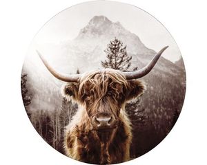 Glasbild rund Highland Cattle Ø 50 cm GLR045