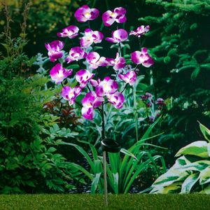 HI LED solárna orchidea 75 cm