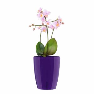 Happy-Plants Orchidea Twin Orchideentopf Selbstbewässernd Ø 12.5 cm, H 15 cm 1.3 Liter - Lila