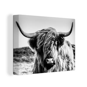OneMillionCanvasses® - Leinwandbilder - Bild auf Leinwand Wandbild Leinwandbild Kuh - Schottisches Hochlandrind - Schwarz - Weiß - Tier - Natur - Wildtiere, 80x60 cm, Kunstdruck Wandkunst Gemälde - Leinwand bilder - Fotos auf Leinwand
