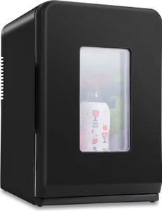 Aopunly 15L mini chladnička 2 v 1 s funkciou chladenia a ohrevu, AC DC Cooler Warmer Prenosná truhlicová mraznička na nápoje do auta Minibar pre domácnosť