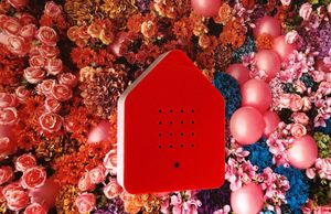Relaxound Zwitscherbox mit Vogelgezwitscher der Amsel - Farbe rot