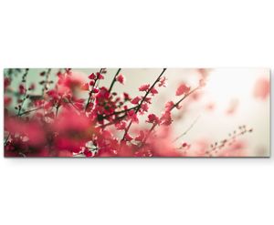 Fotografie rote asiatische Kirschblütenzweige - Leinwandbild 120x40cm