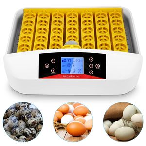 WINICE Inkubator Vollautomatisch 41 Eier, Brutkasten Brutmaschine Geflügel Motorbrüter Brutautomaten Hühner mit LED Temperaturanzeige, Automatischer Flip-Hatcher für alle Arten von kleinen Geflügeleiern