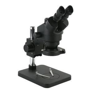 Stereo-Mikroskop, Simul Focal Zoom, Trinokular-Kopf, B