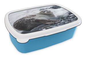 MuchoWow® Lunchbox Brotzeit Brotdose 17x11 cm Robbe - Schnee - Strand Kinder Brotzeitdose - Lunch - Kunststoff  - Brotbüchse - Sandwichbox - Lunchbox für Kinder