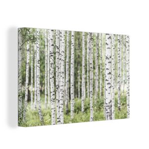 OneMillionCanvasses® - Leinwandbilder - 120x80 cm, Ein ausgewachsener Birkenwald mit Baumstämmen, Wandbilder Kunstdruck Wanddekoration - Wanddekorationen - Wohnzimmer