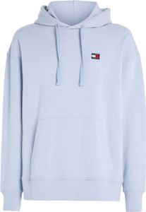 Kapuzenpullover Tommy Hilfiger DM0DM16369C1X