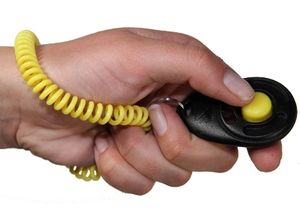 Starmark Clicker De Luxe für die Ausbildung