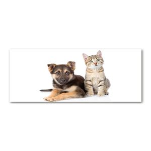 Tulup® Leinwandbild - 125x50 cm - Wandkunst - Drucke auf Leinwand - Leinwanddruck  - Tiere - Schwarz - Hund und Katze