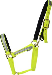 HyVIZ Fieldsafe Pferdehalfter BZ3815 (Kleines Pferd) (Gelb, Reflektierend) HyVIZ Fieldsafe Pferdehalfter BZ3815 (Kleines Pferd) (Gelb, Reflektierend)