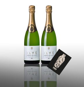 Ilys Brut 2er Set Cremant de Loire 2x 0,75L (12,5% Vol) Frankreich- [Enthält Sulfite]