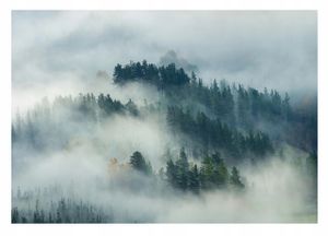Vlies Fototapete Wald im Nebel Berge Bäume (312x219 cm - inkl. Kleister) Wohnzimmer Schlafzimmer Modern Vliestapete Tapete