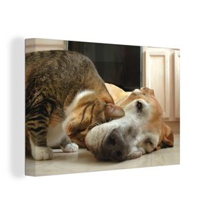 OneMillionCanvasses® - Leinwandbilder - 140x90 cm, Katze - Hund - Tiere, Wandbilder Kunstdruck Wanddekoration