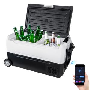 Puluomis  Kompressor Kühlbox 35L elektrisch Auto Camping 12V 230V, WLAN Gefrierbox Tragbar mit Rollen, Kühl - Gefrierkombination bis -20° C, schwarz