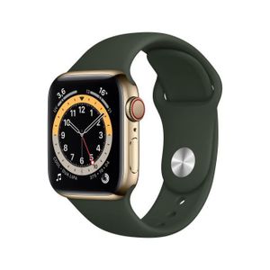 Apple Watch Series 6 GPS + Cellular, 40 mm Gold Edelstahlgehäuse mit Cyprus Green Sport Band