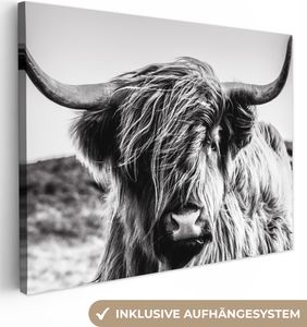 Leinwand Bilder 80x60 cm - Schottisches Hochlandrind, moderne Wanddeko für Wohnzimmer