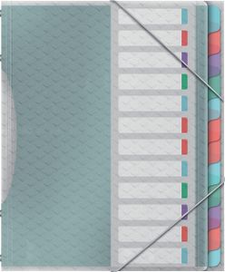 Teczka Esselte Colour'Breeze A4 PP 12 przegródek