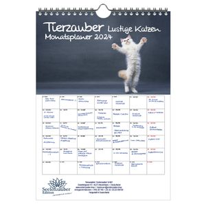 Tierzauber lustige Katzen Planer DIN A4 Kalender für 2024 Lustige Momente mit Katzen  - Seelenzauber