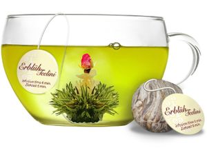 Creano ErblühTeelini Teeblumen Geschenkset mit Teeglas und 8 Teeblumen im Tassenformat, grüner Tee, Geschenk