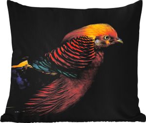 MuchoWow® Outdoor Kissen - Vogel - Federn - Schwarz - Porträt - 45x45 cm - Wetterfest - Lounge Kissen - Fotokissen - Dekoratives Kissen