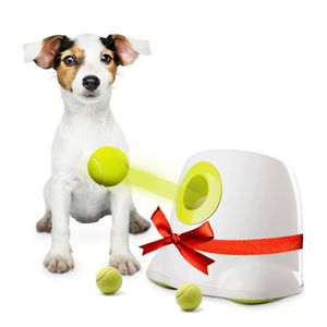BOT Automatische Ballwurfmaschine für kleine und mittelgroße Hunde, inkl. 3St x 5 cm Bälle.